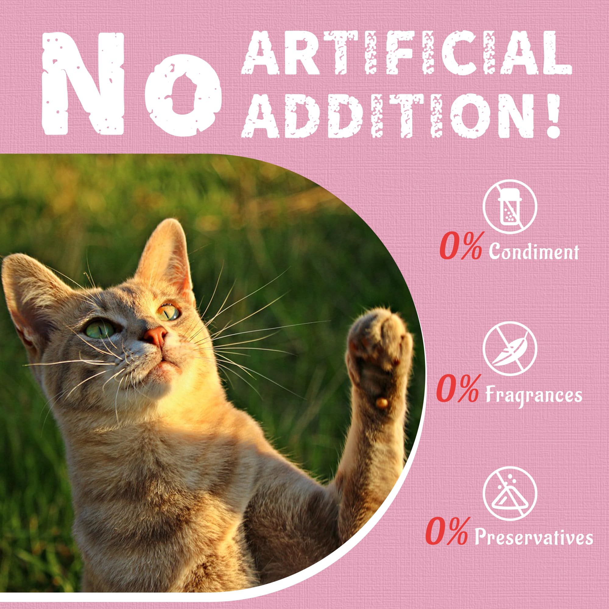 Just Try snack de gambas para uso diario en gatos