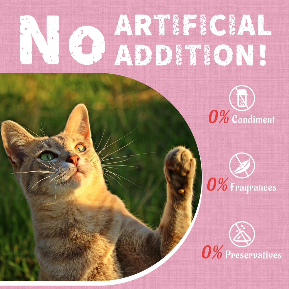 Just Try snack de gambas para uso diario en gatos