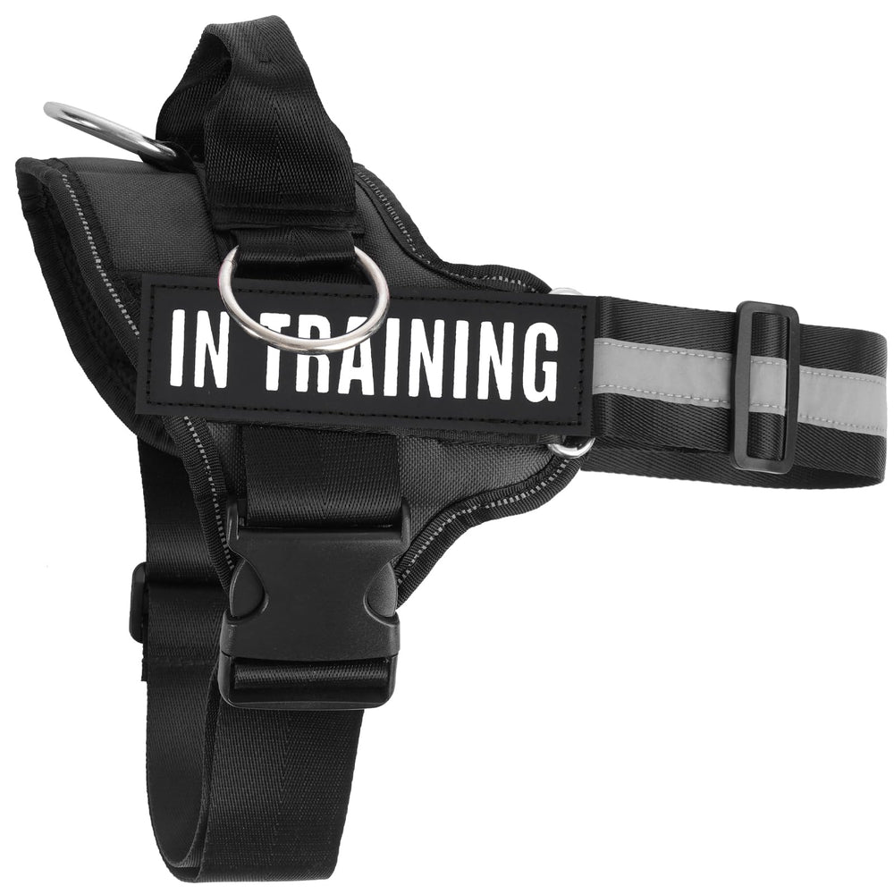 JUSTYEZI arnés para caminar y entrenar, apto para perros de todos los tamaños.
