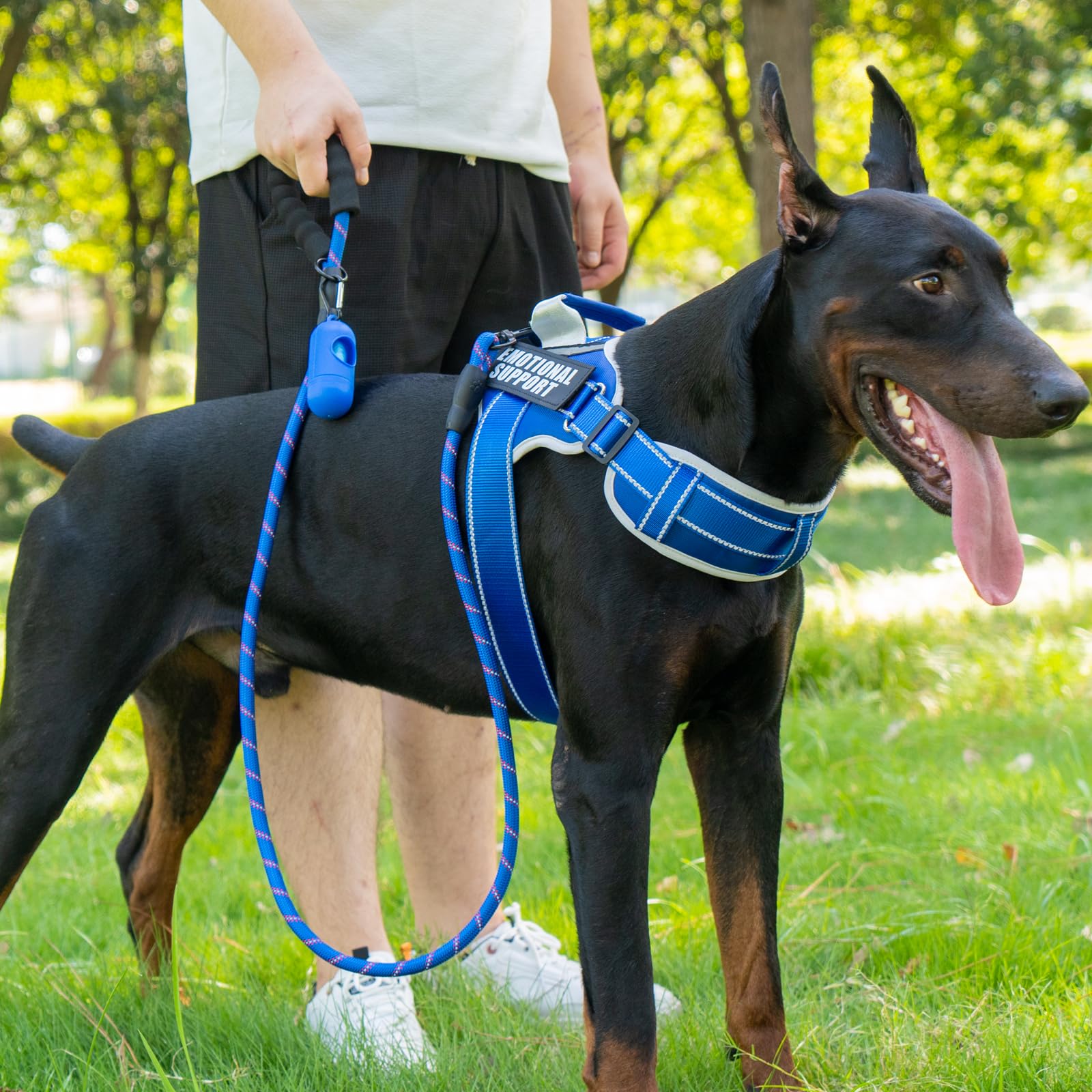 JUSTYEZI arnés para perro con cuello acolchado, paseos más cómodos