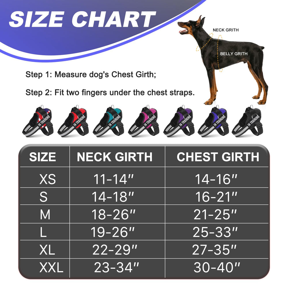 JUSTYEZI arnés ligero, fácil de poner, ideal para paseos diarios.