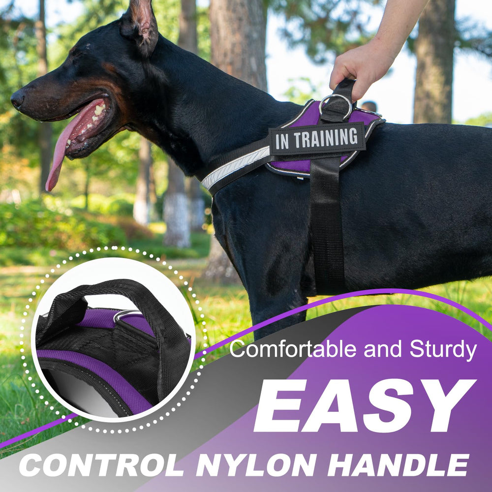JUSTYEZI arnés para entrenamiento, ideal para perros que aprenden a caminar