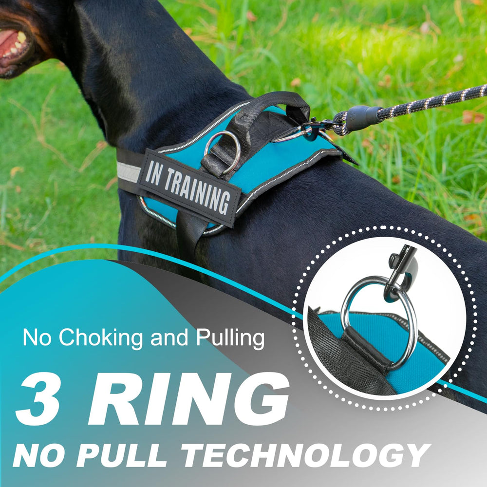 JUSTYEZI arnés reflectivo para mayor visibilidad nocturna.