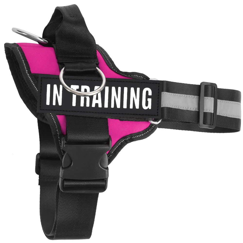 ARNÉS JUSTYEZI Uso múltiplo ideal para entrenamiento y paseos diarios