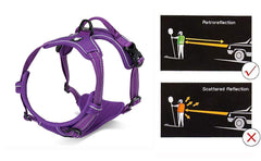 Arnés JUXZH Truelove con asa de control para manejo cercano.