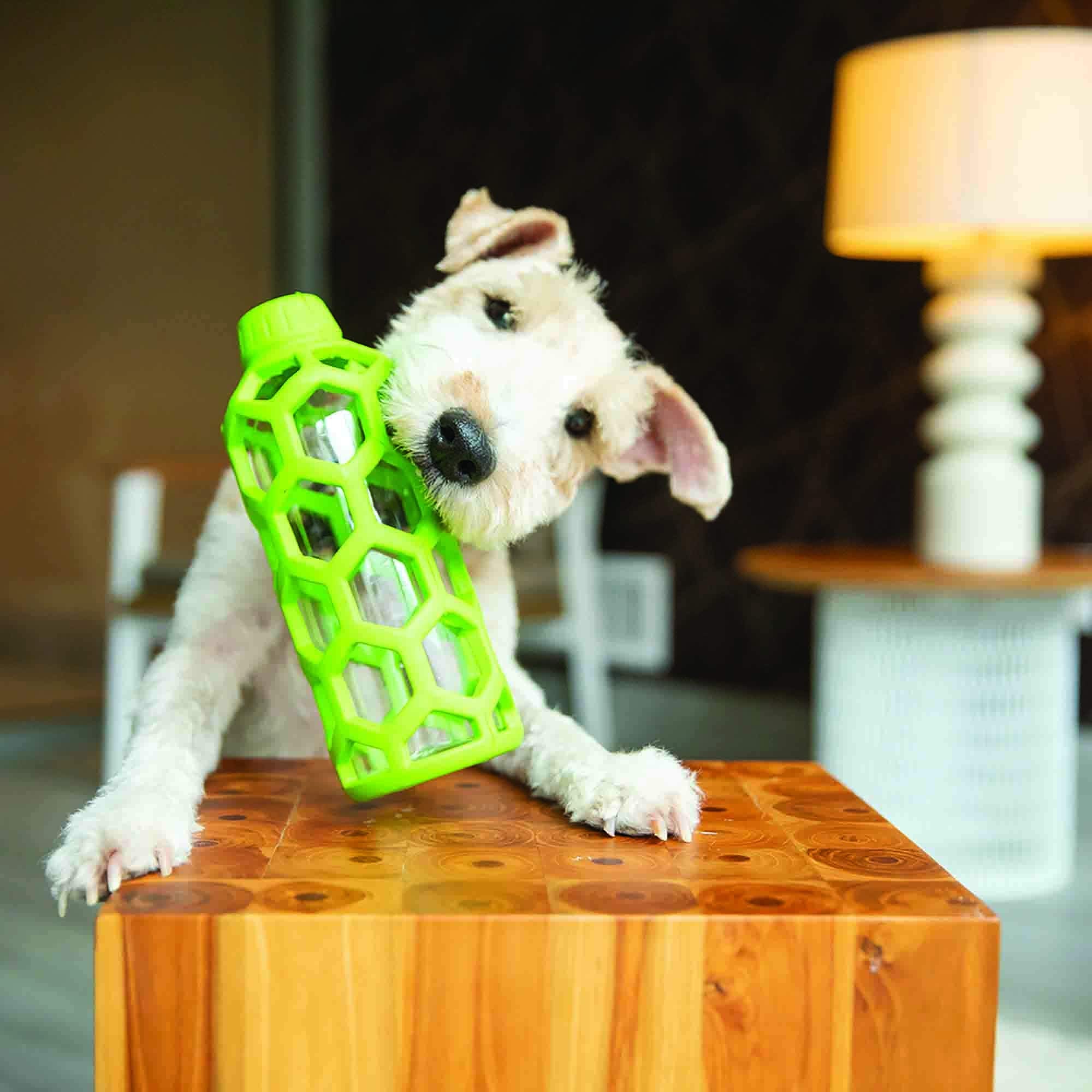 JW Pet Hol-ee Bottle: interior con botella plástica para juego continuo.