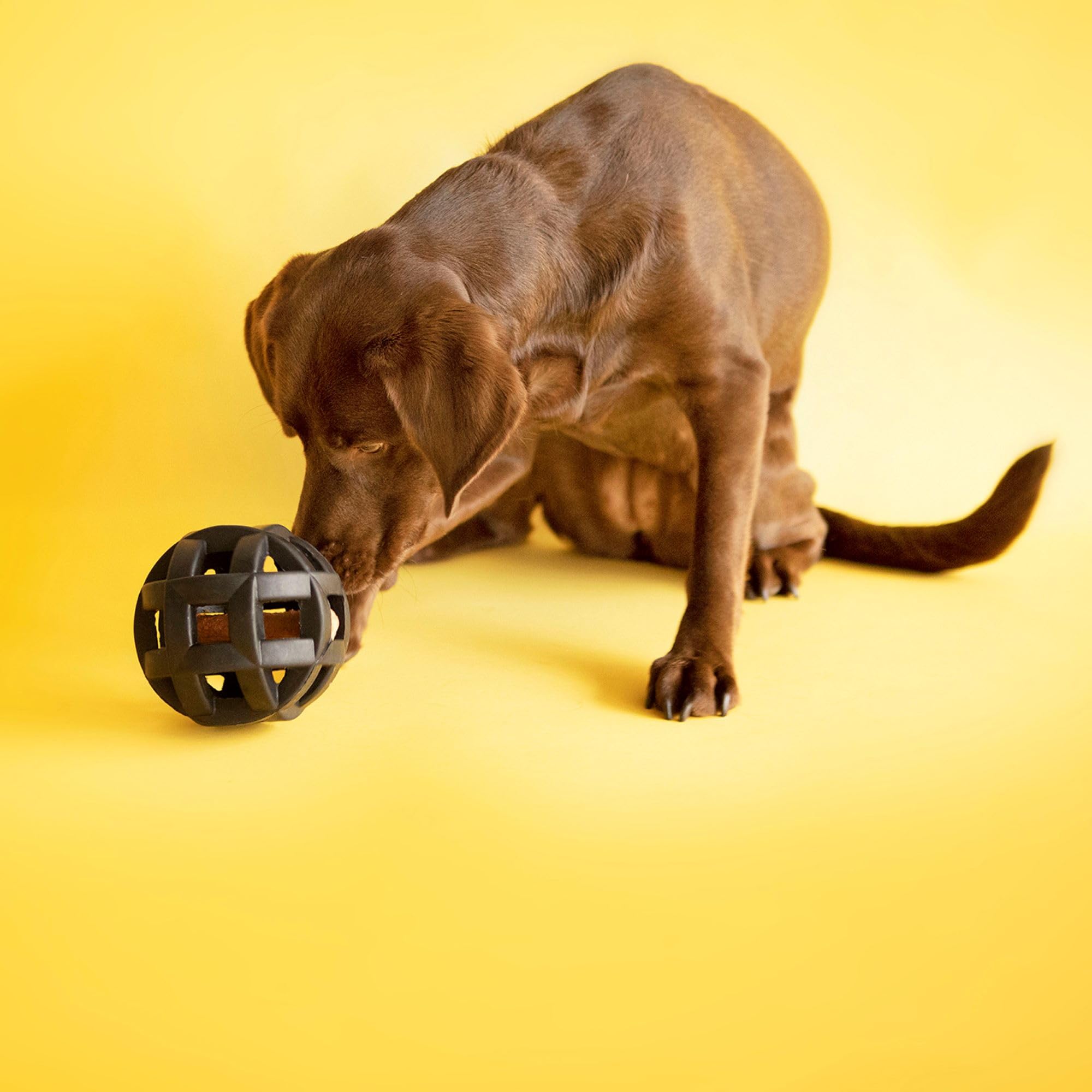  JW Pet Hol-ee Roller Extremo es ideal para juegos en interior y exterior.