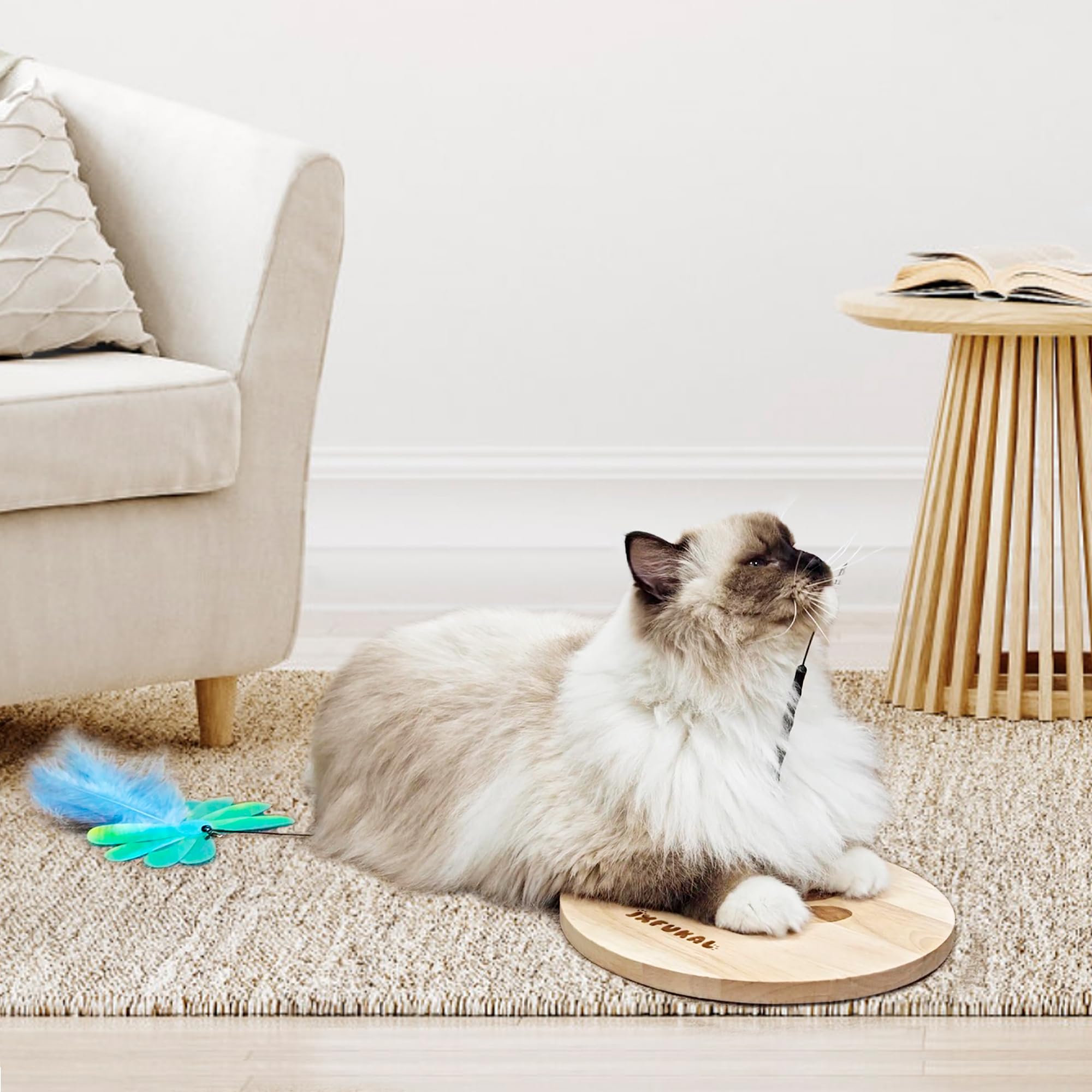 JXFUKAL Juego en familia para fortalecer vínculo con tu gato.