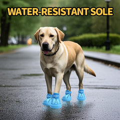 Zapatos JZXOIVA con ventilación para mantener las patas frescas durante el paseo.