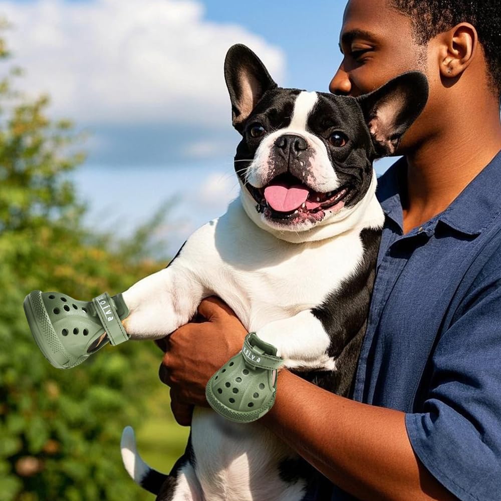 Estilo moderno para perros con protección y comodidad