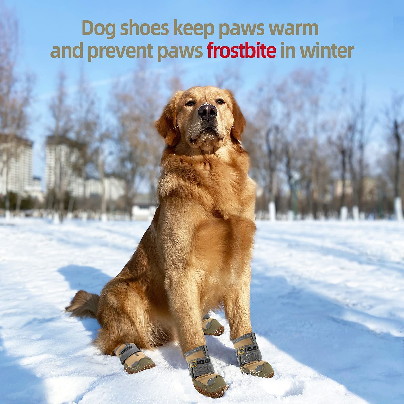 Zapatos para perro JZXOIVA con reflectores para más seguridad nocturna.
