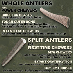 K-9 Antler Co.: sostenibilidad y procedencia estadounidense para mayor tranquilidad