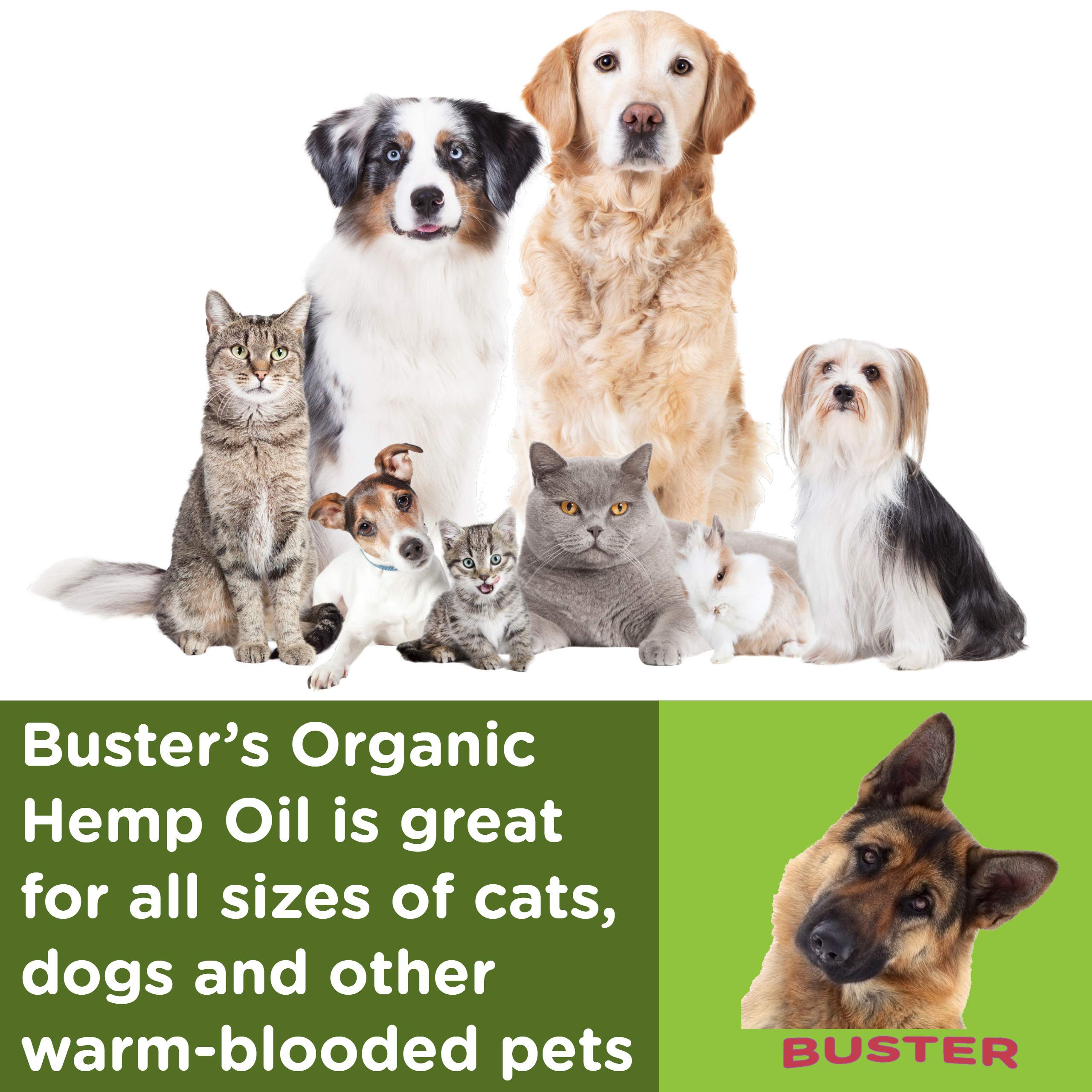 Uso diario para perros y gatos con aceite de cáñamo orgánico