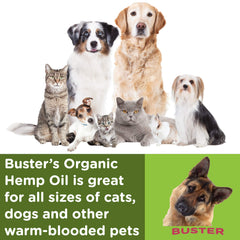 Uso diario para perros y gatos con aceite de cáñamo orgánico