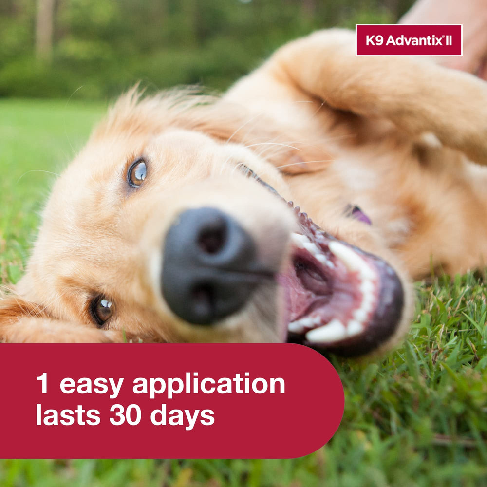K9 Advantix II envase de 4 dosis: conveniencia para tratamientos mensuales