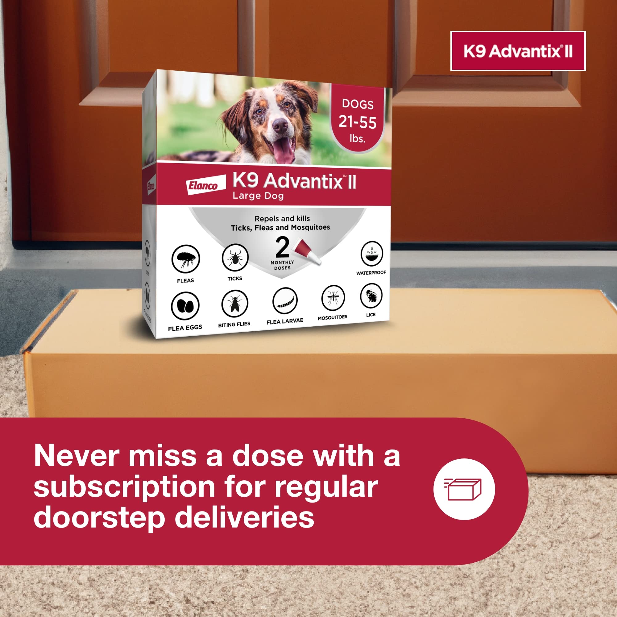 K9 Advantix II grande: apto para uso en interiores y exteriores.