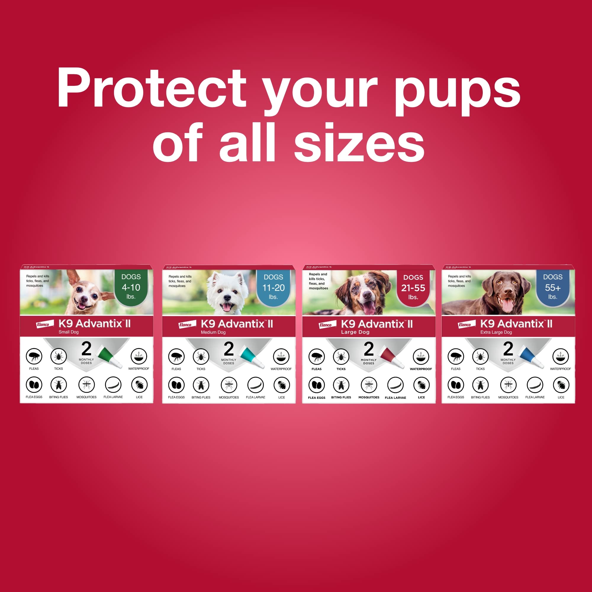 K9 Advantix II protección mensual: ayuda a mantener al perro activo y cómodo