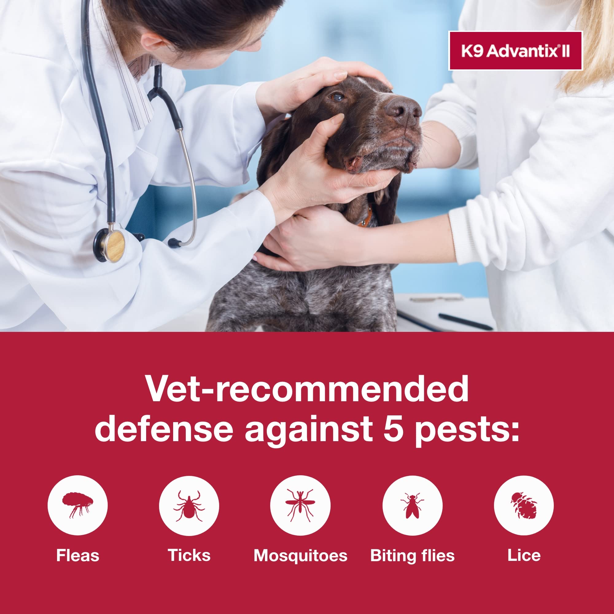 K9 Advantix II XL: protección contra pulgas al contacto para evitar mordidas.