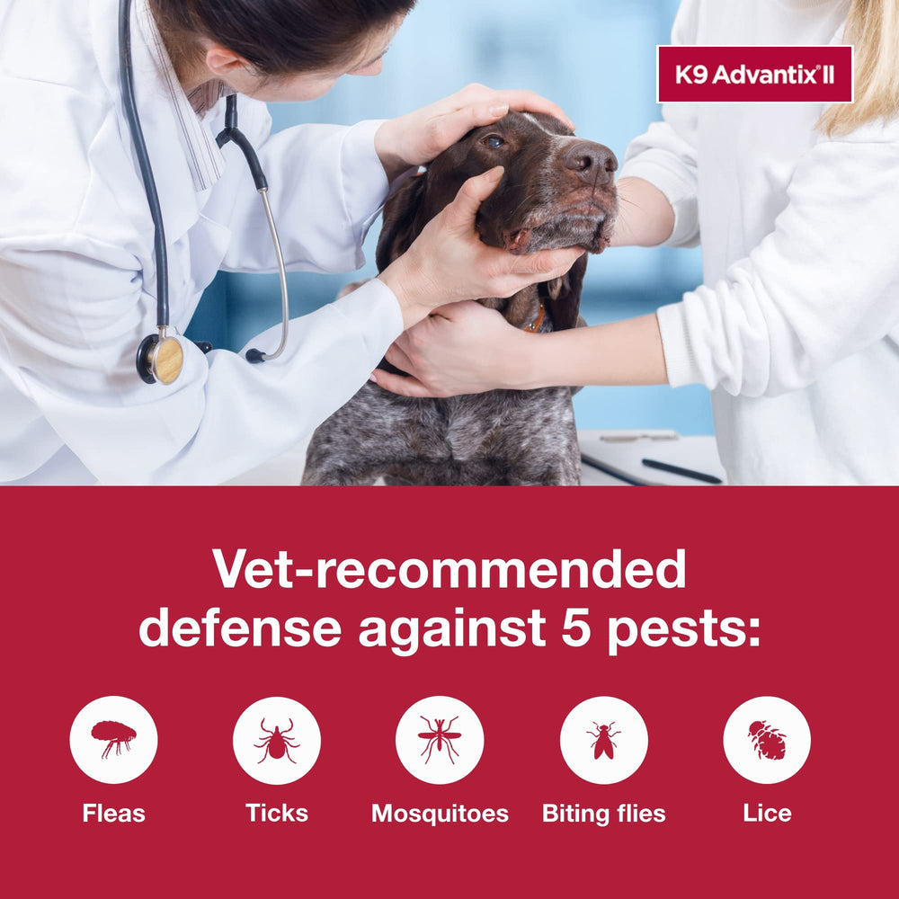K9 Advantix II XL: protección contra pulgas al contacto para evitar mordidas.
