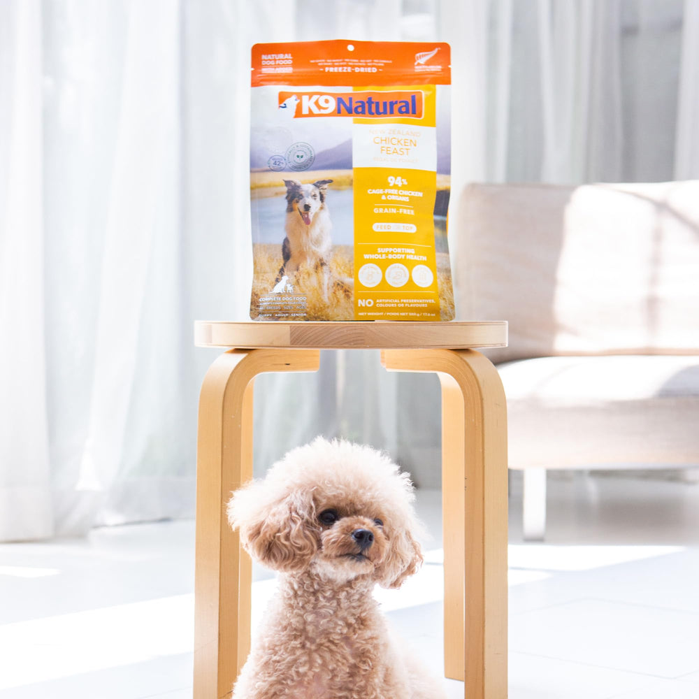 K9 Natural garantiza satisfacción o reembolso, para dueños exigentes.