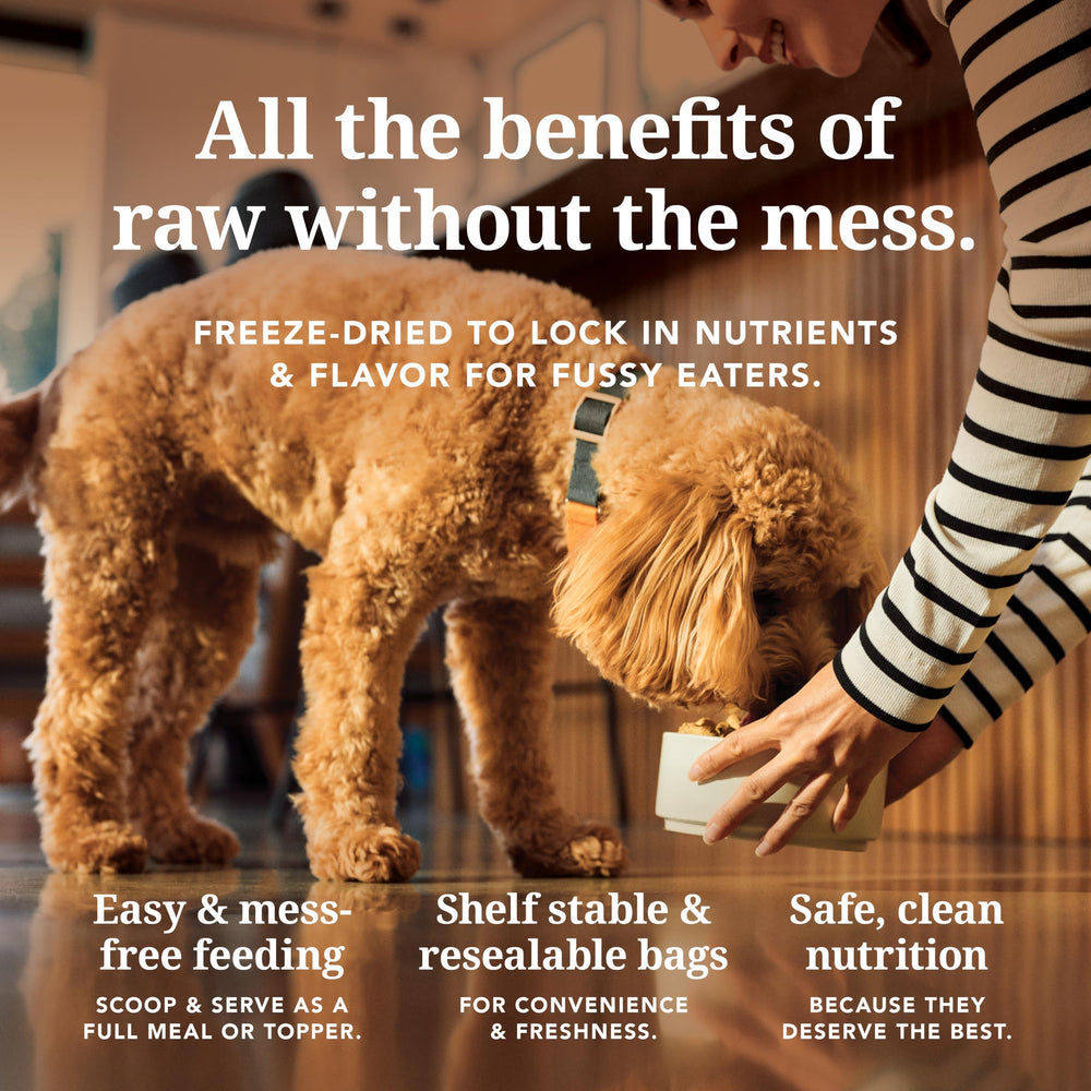 K9 Natural ingredientes naturales, sabor y calidad para perros.