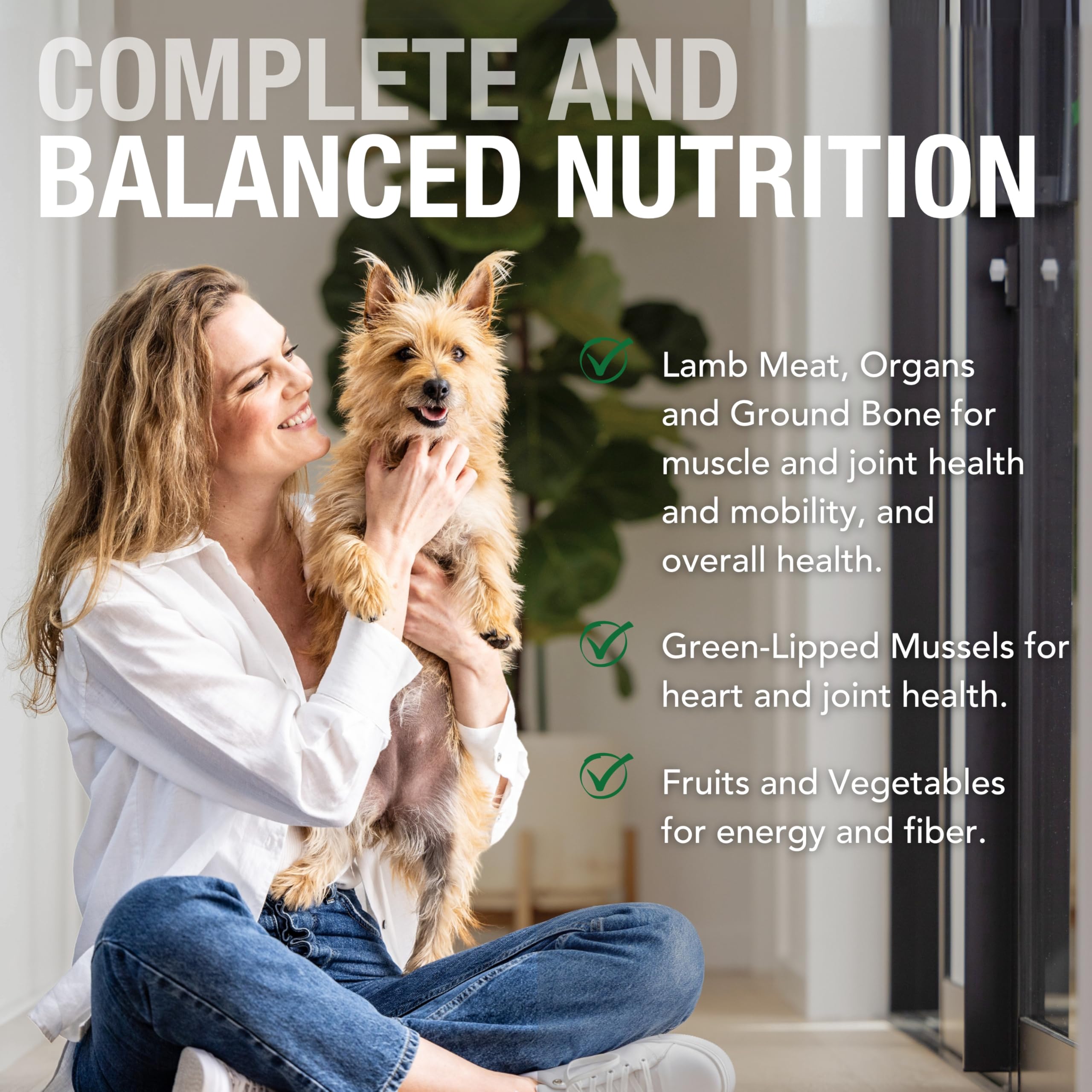 K9 Natural pate cordero Nueva Zelanda, cordero alimentado con pasto para calidad de proteína