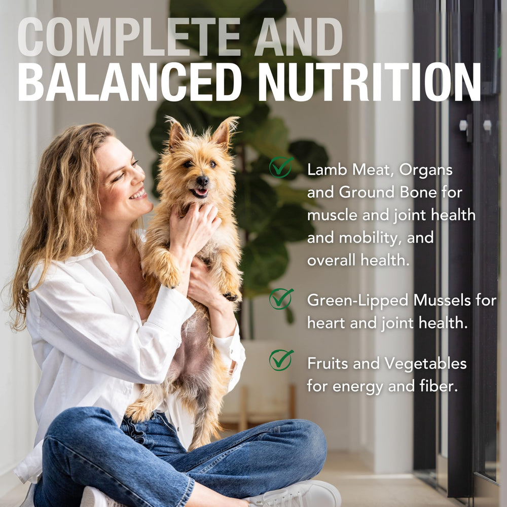 K9 Natural pate cordero Nueva Zelanda, cordero alimentado con pasto para calidad de proteína