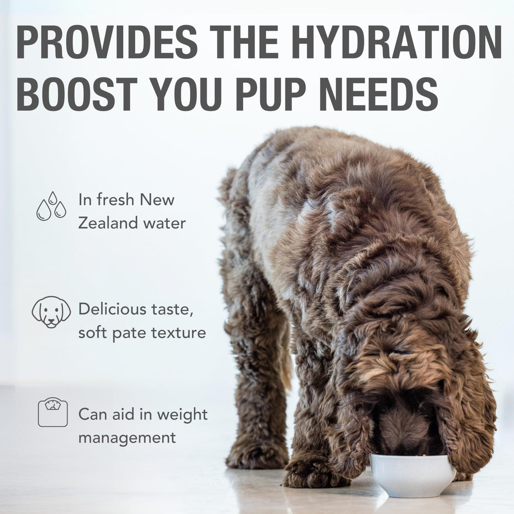 K9 Natural pate hidratación con agua fresca para una experiencia jugosa
