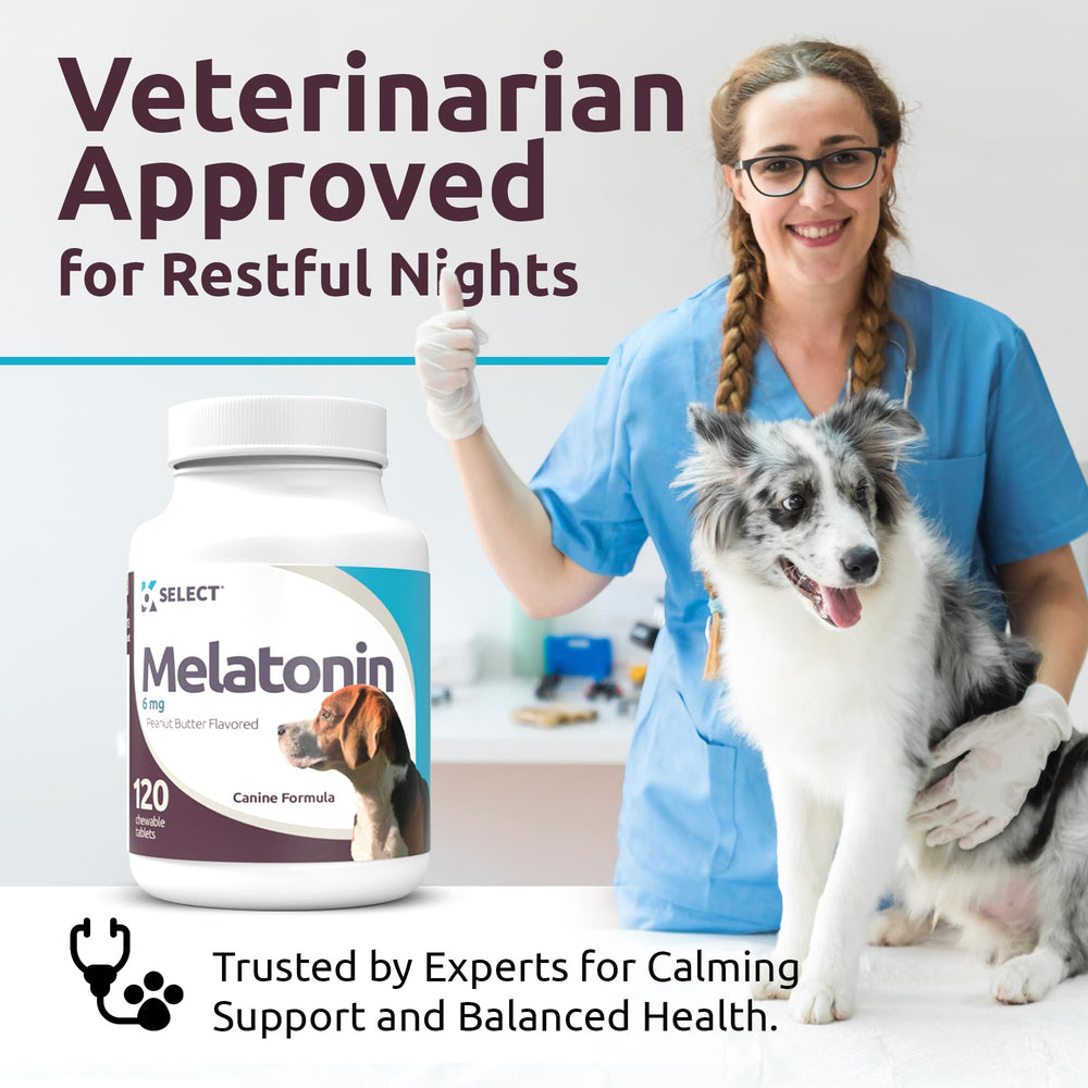 Frasco y tabletas alineadas como apoyo natural para la salud canina.
