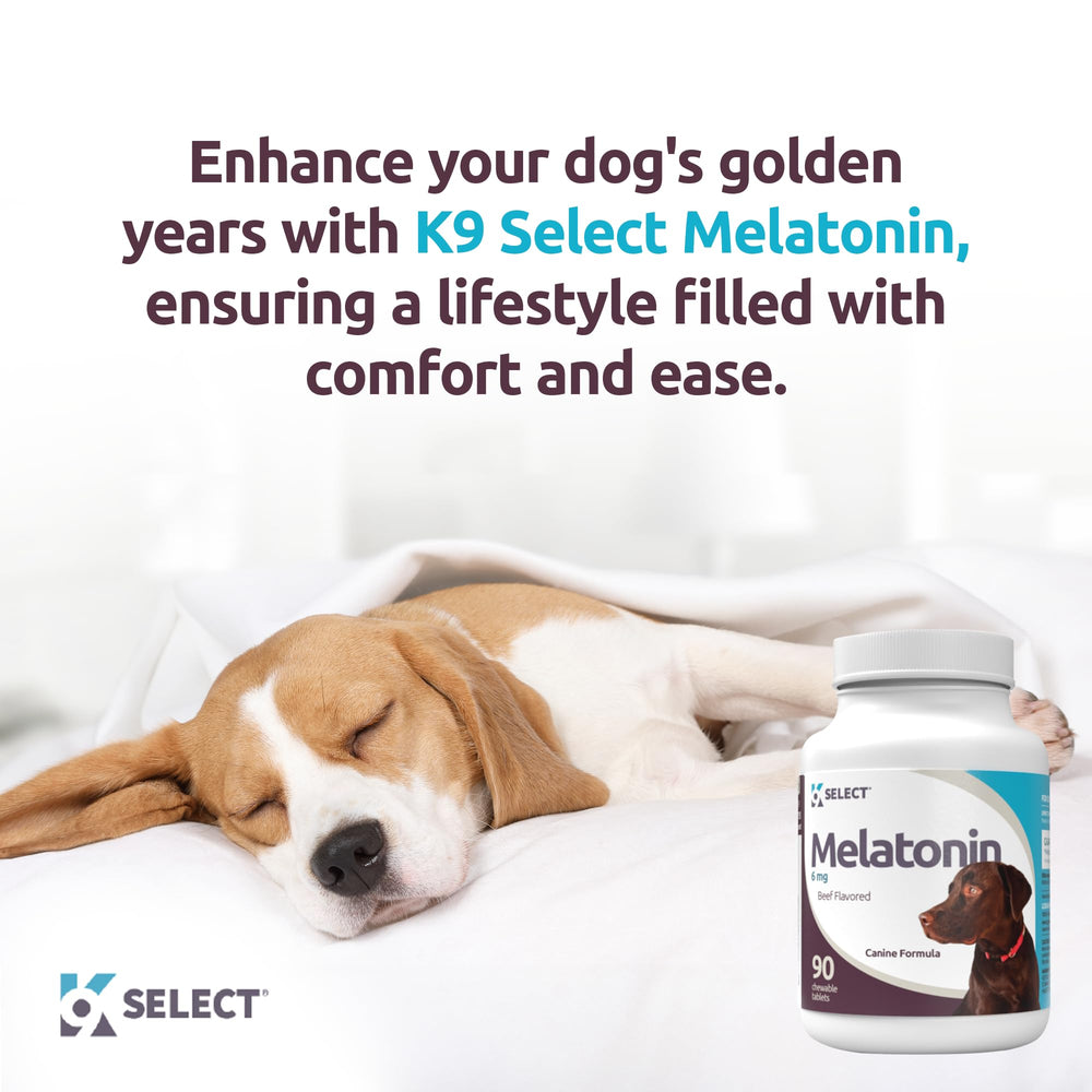 Rutina de sueño más estable con K9 Select Melatonina