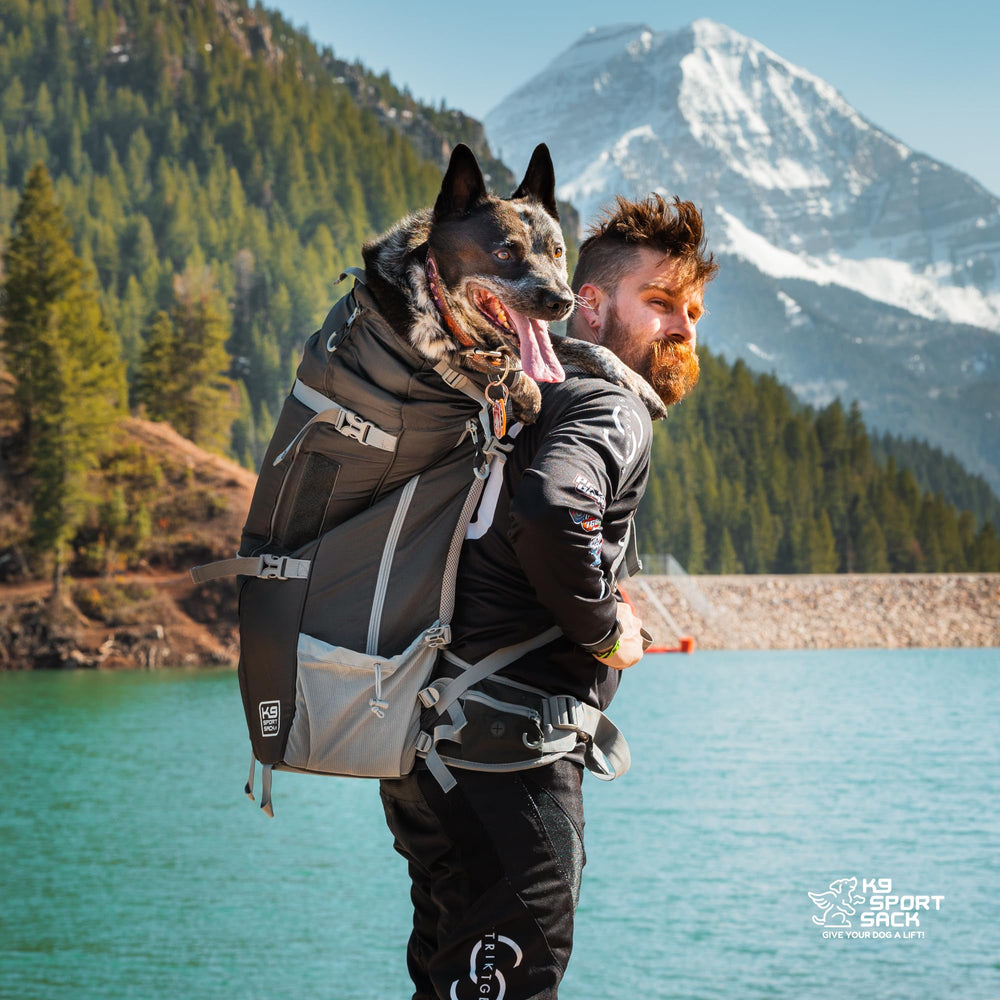 Dispensador de bolsas y cinturón con porta-bolsas en Kolossus XXL.