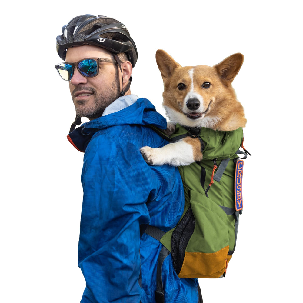 K9 Sport Sack Urban 3 en modo doble uso, ideal para paseo con mascota.