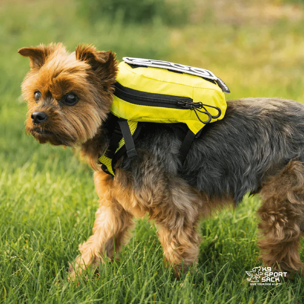 K9 Sport Sack Walk-On solución compacta para llevar al perro y equipo.