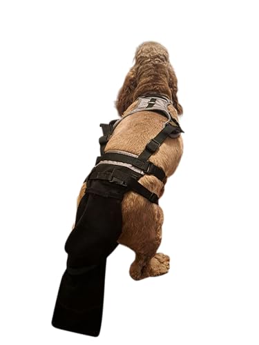 K9 Tailsaver instrucciones-video-fijacion guía visual de colocación