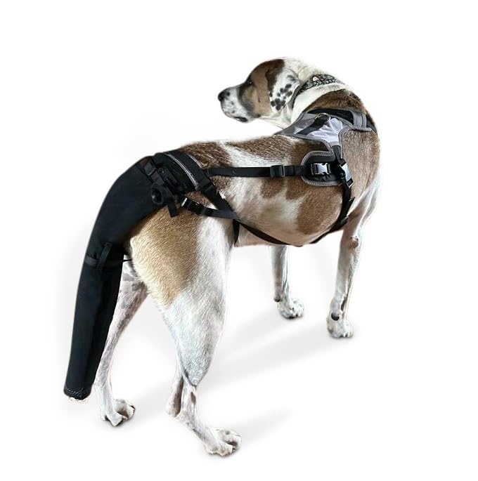 K9 Tailsaver proteccion-cola-grande ofrece ajuste firme para perros grandes