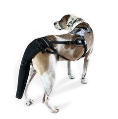 K9 Tailsaver proteccion-cola-grande ofrece ajuste firme para perros grandes