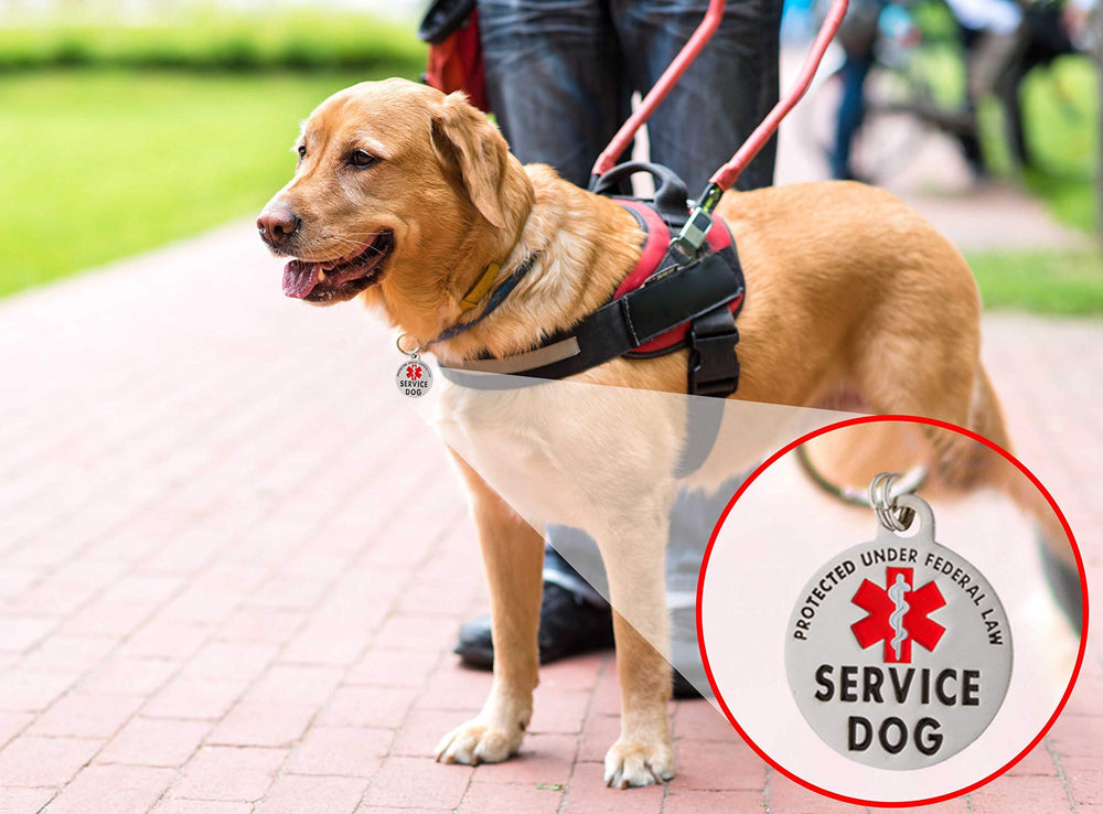 K9King etiqueta de servicio resistente a desgaste diario
