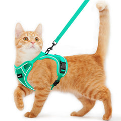 Arnés Kaazylab para gato a prueba de escape, protege a tu mascota durante paseos.