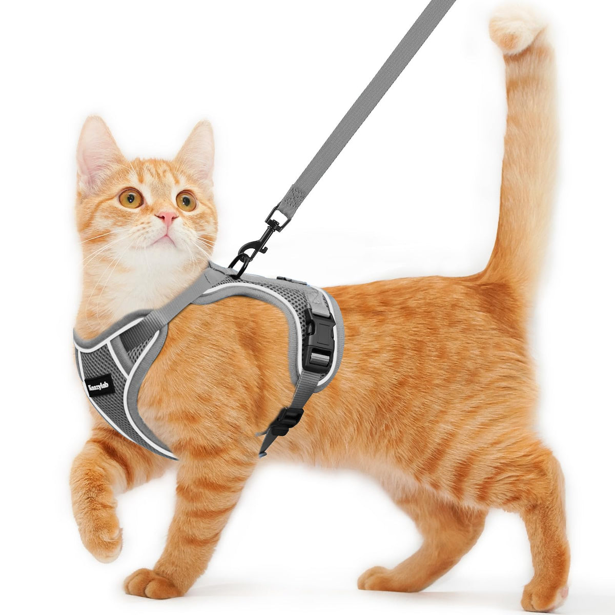 Arnés Kaazylab para gato ajustable XS para paseos cómodos.