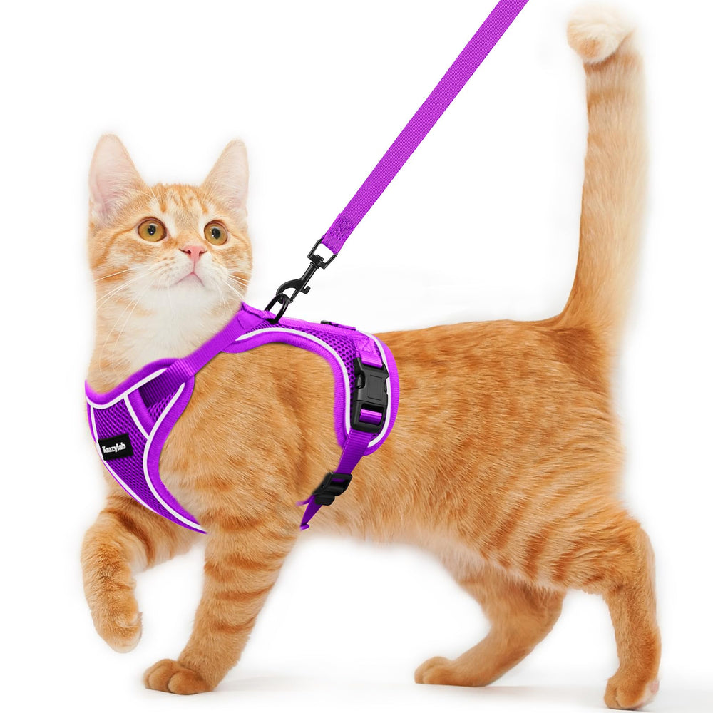 Kaazylab arnés gato seguro en acción, ideal para paseos tranquilos.