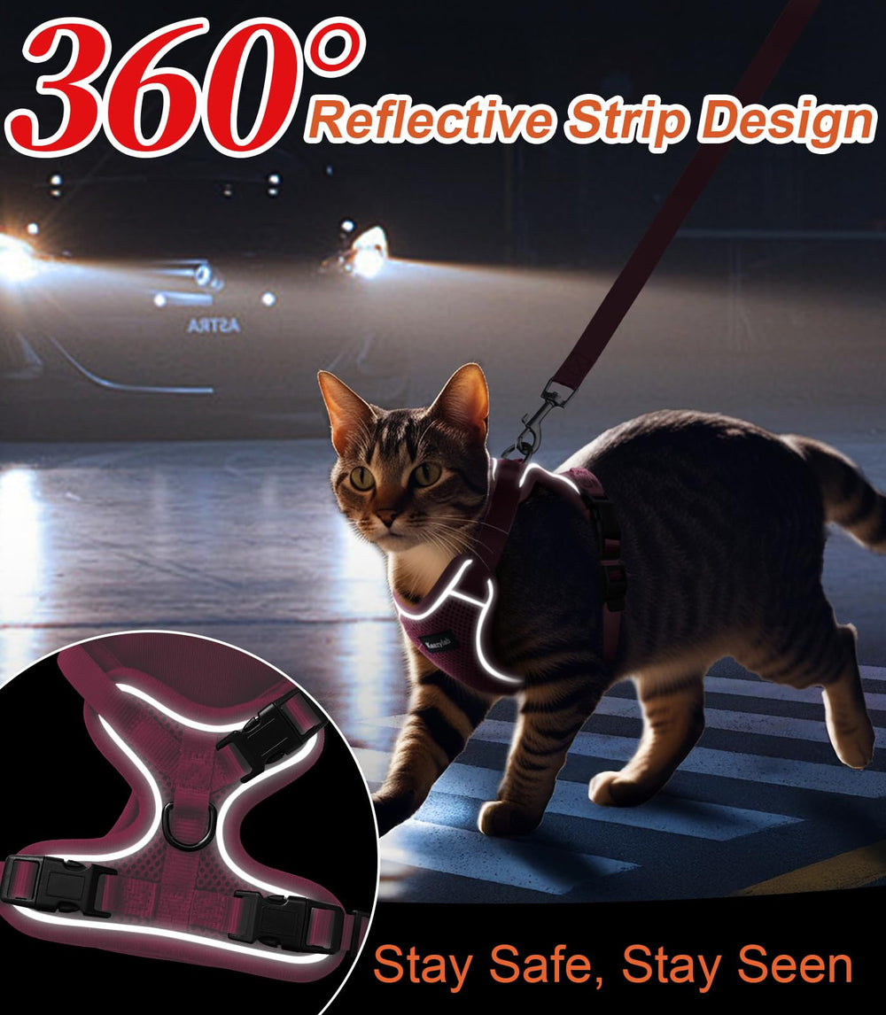 Correa Kaazylab para paseos con gatito estable