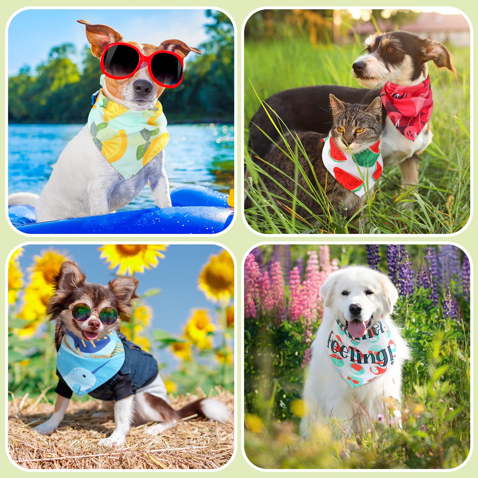 Kacctyen bandanas para perro con diseños hawaianos veraniegos para sesiones de fotos