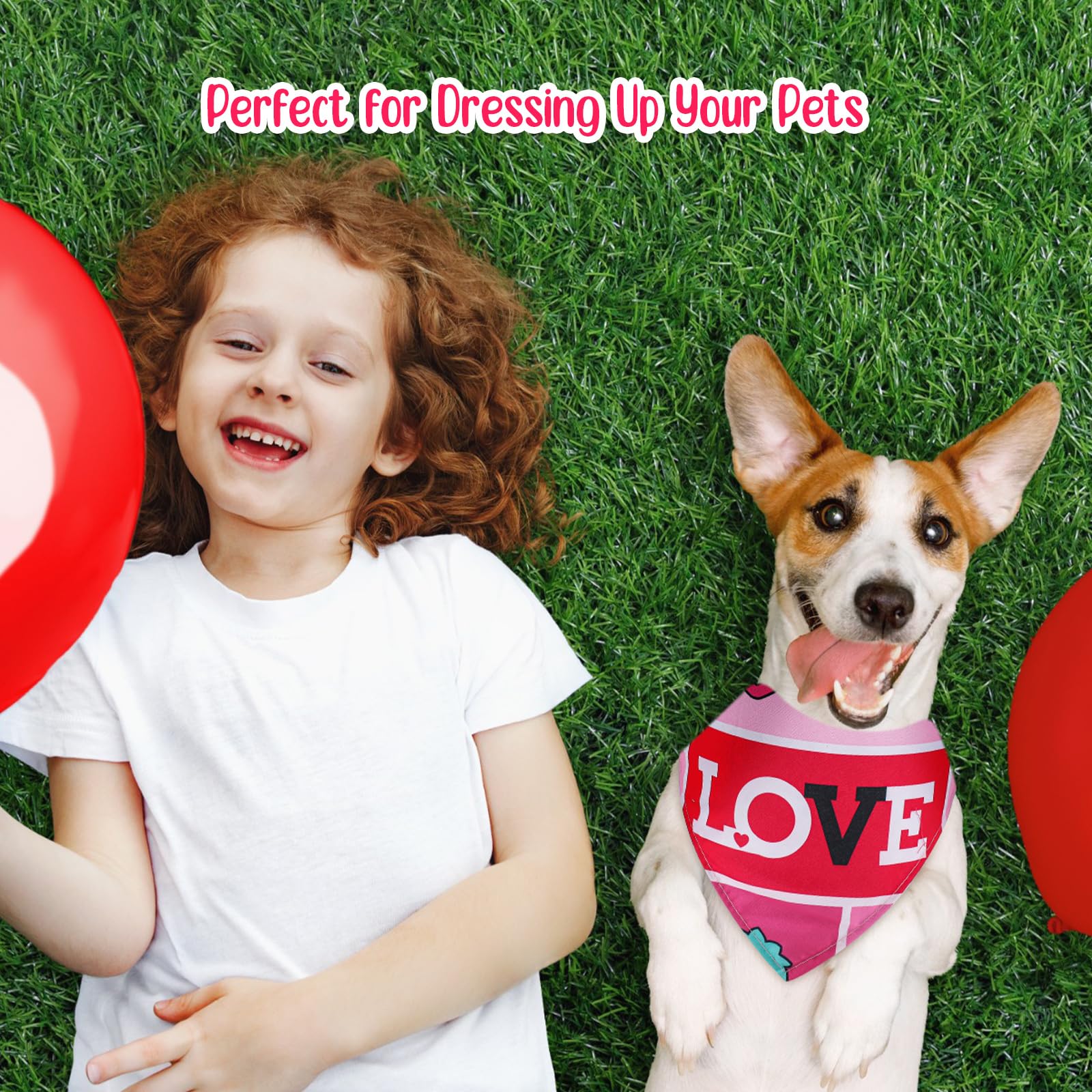Regalo perfecto para dueños y mascotas en San Valentín