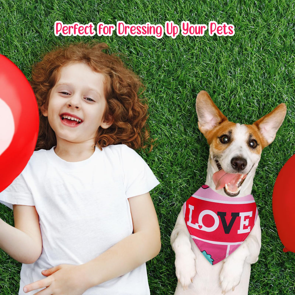 Regalo perfecto para dueños y mascotas en San Valentín