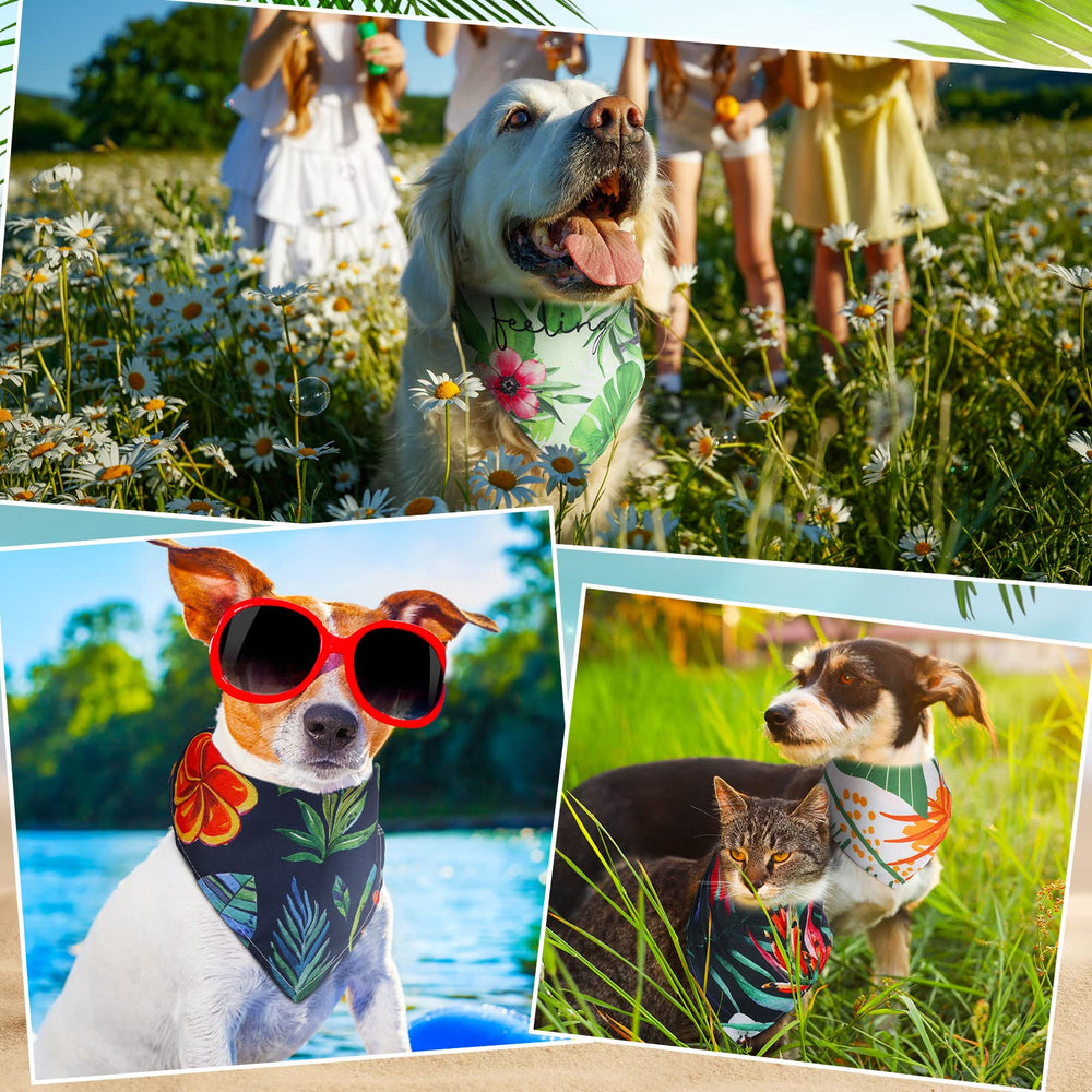 Kacctyen bandanas de verano para mascotas, resistentes y lavables.
