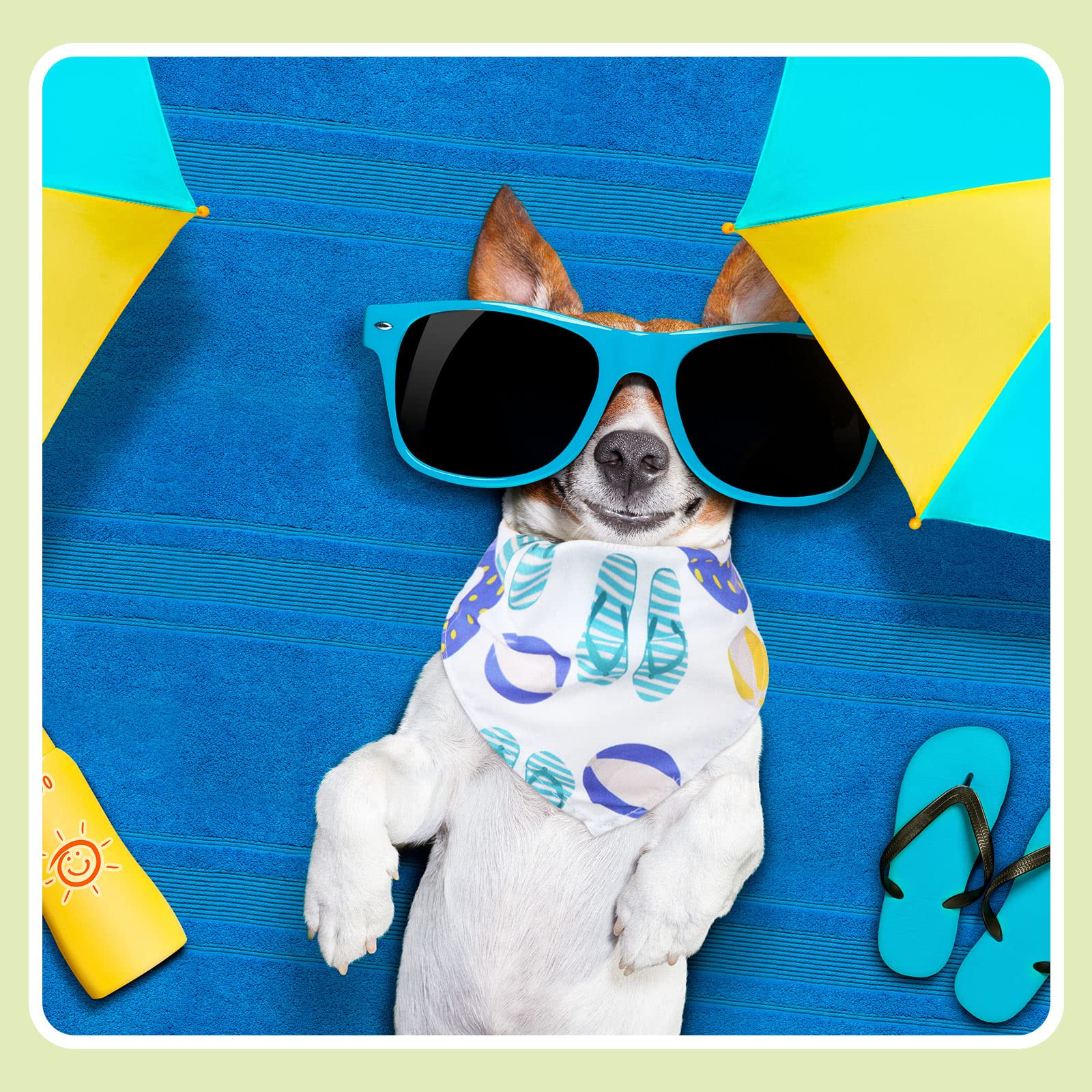 Kacctyen bandanas para perro uso diario y ocasiones especiales con estilo