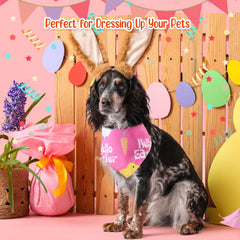 Kacctyen bandanas multipropósito para mascota, perfecto como accesorio para eventos y regalos.