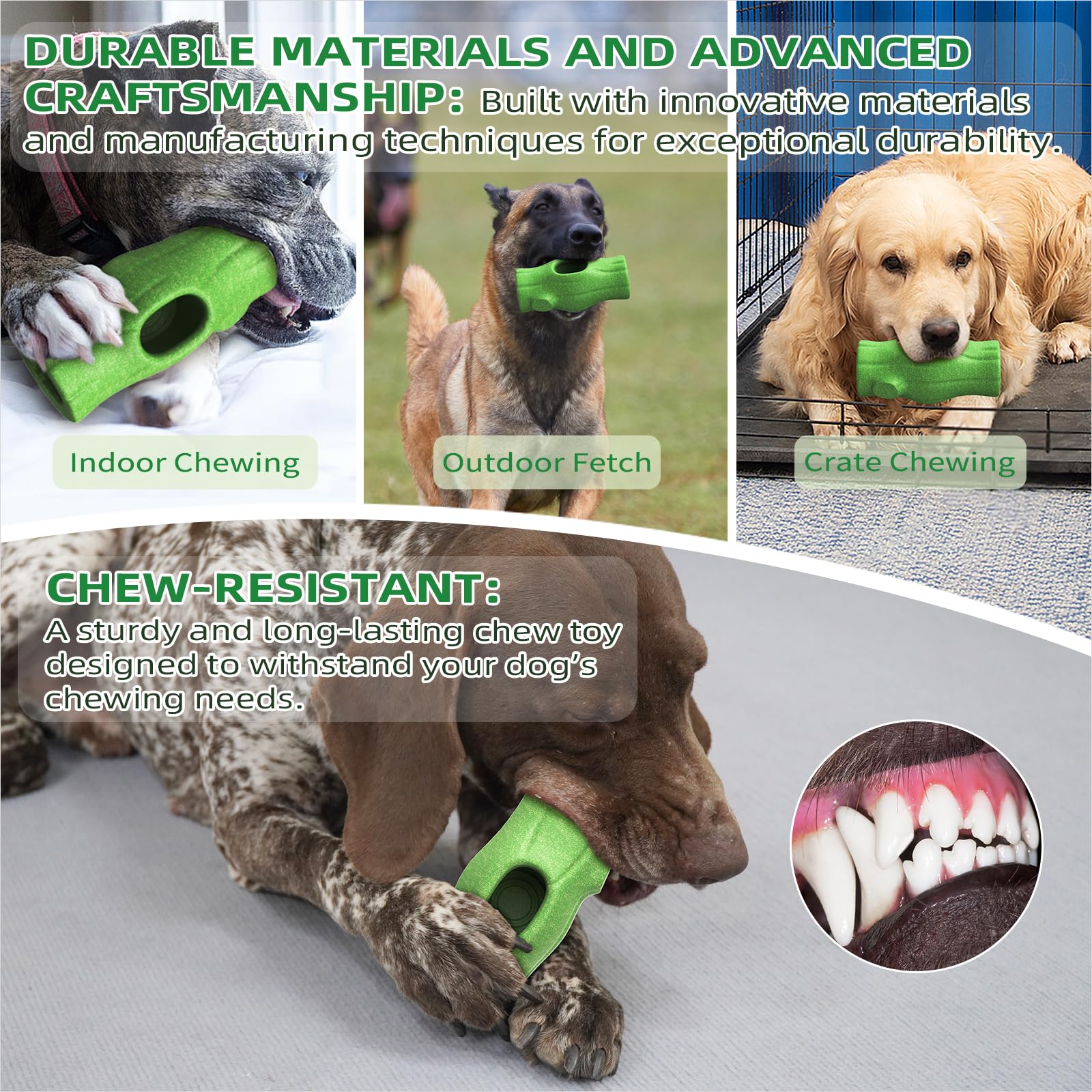 KADTC: diseño práctico para uso diario y enriquecimiento canino.