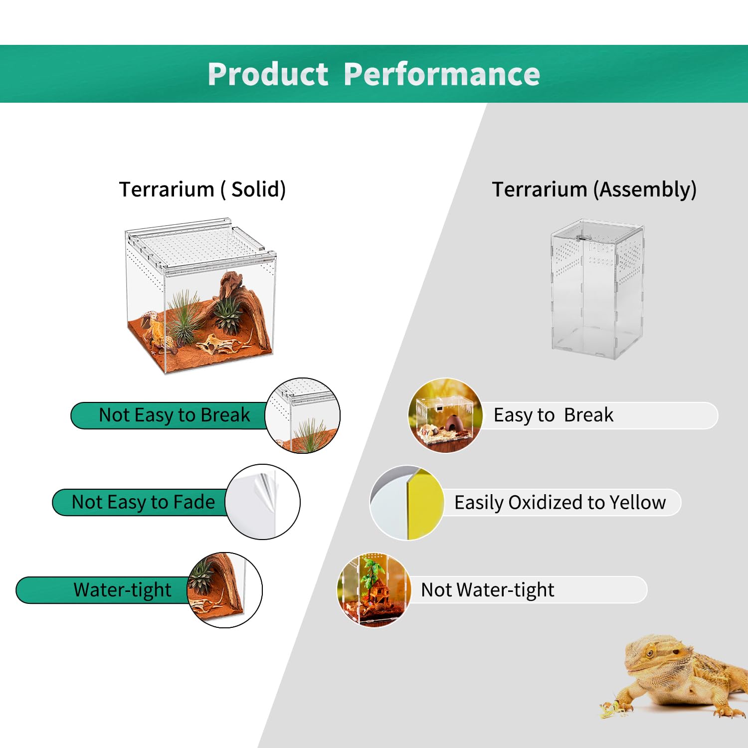 KAKOOTI terrario compacto para pequeños reptiles e invertebrados.