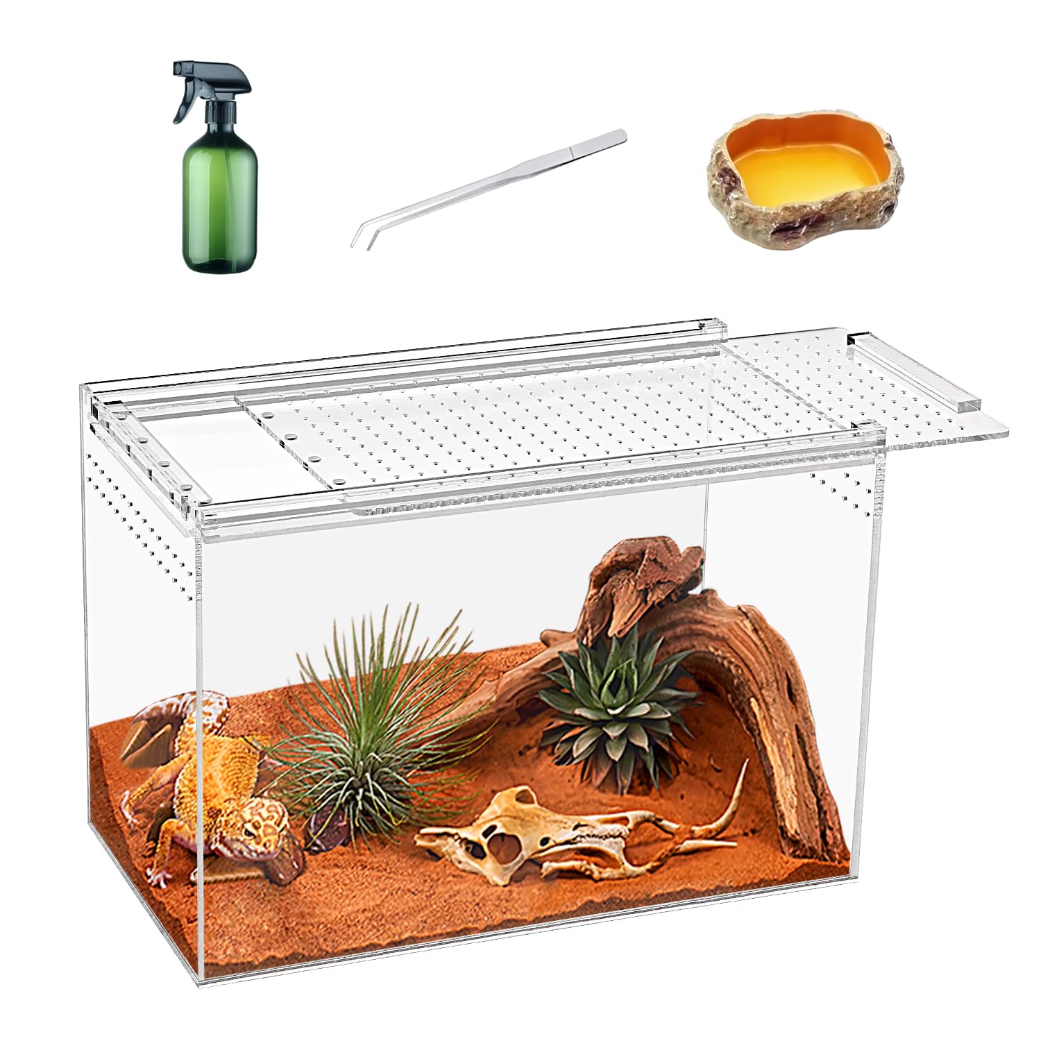 KAKOOTI Terrario Reptil 11x6x8, vista frontal para observar mascotas y alimentar.